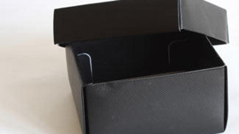 Kdaj bodo Slovenci tako kot Švedi izvedeli, kakšna pokojnina jih čaka?