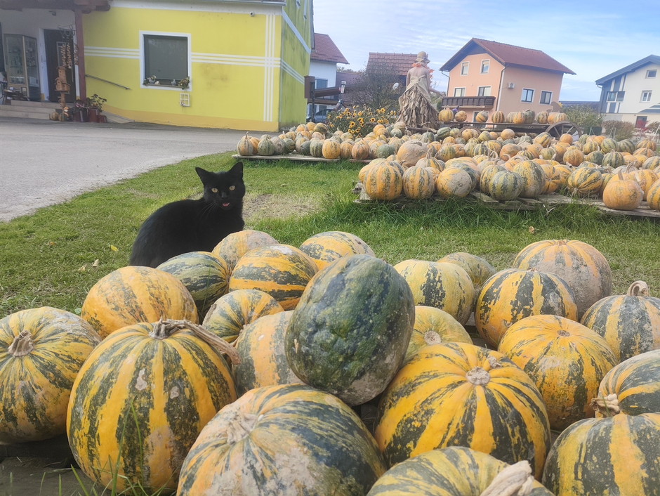 Kmetija Jančar | Avtor: uredništvo