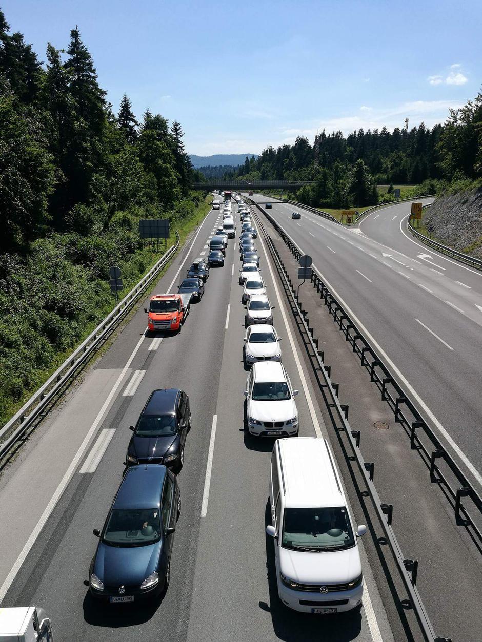 Zavod reševalni pas | Avtor: Zavod reševalni pas