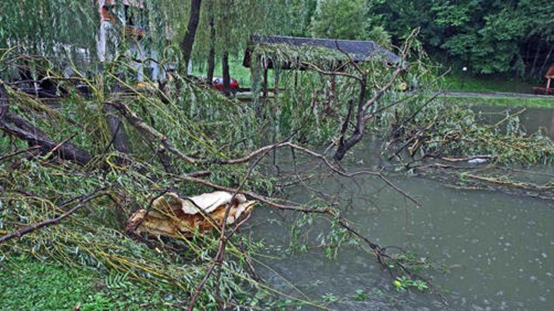 Nočno neurje je predvsem rušilo drevje.