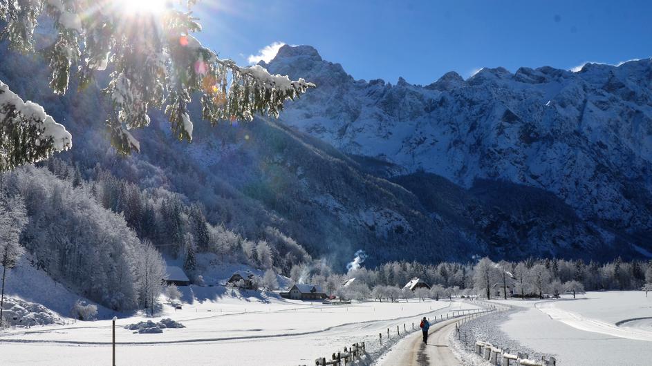 Združenje turističnih kmetij Slovenije