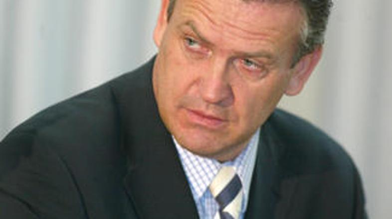 Sodnica ni verjela Ruparjevemu zagovoru, da je bil članek le odgovor na navedbe 