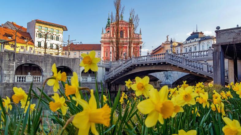 Ljubljana