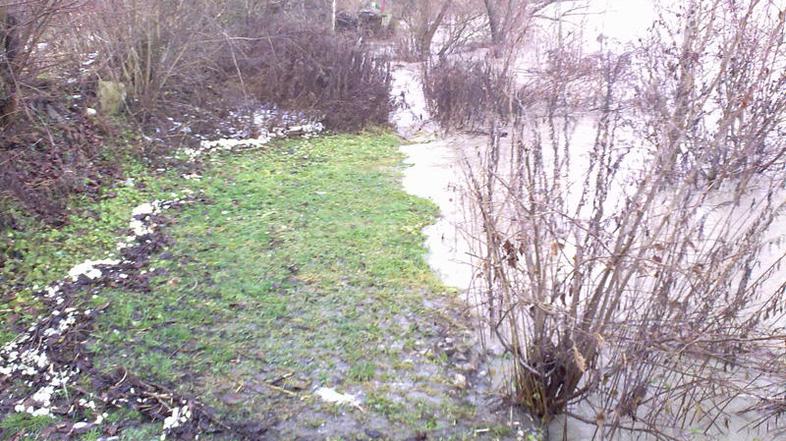 Reke naj bi v prihodnjih dneh znova narasle, a le tam, kjer je to vsakoletni poj