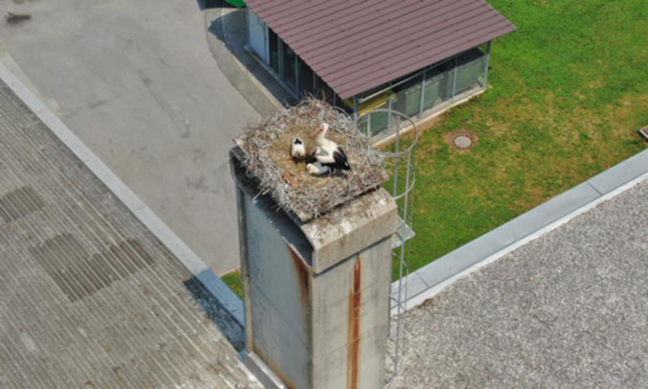  | Avtor: OŠ Predoslje Kranj