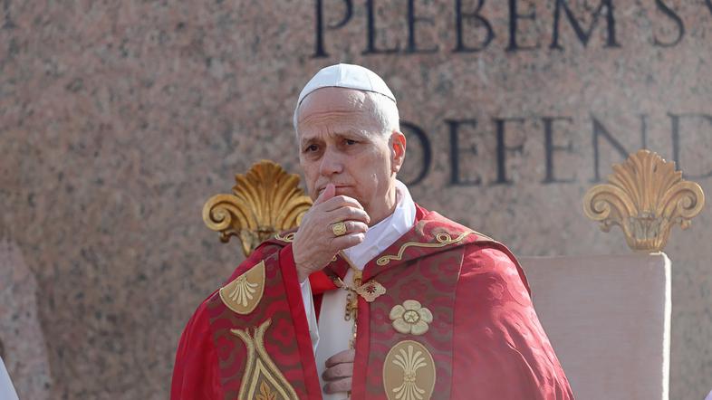 Papež Leon XIV, cvetna nedelja