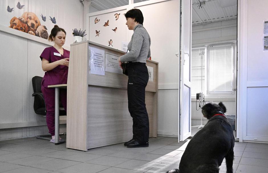 veterinar ambulanta pes | Avtor: Profimedia