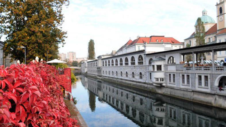 Pod tržnico so bili predvideni garažna hiša s 700 parkirnimi mesti v vrednosti 2