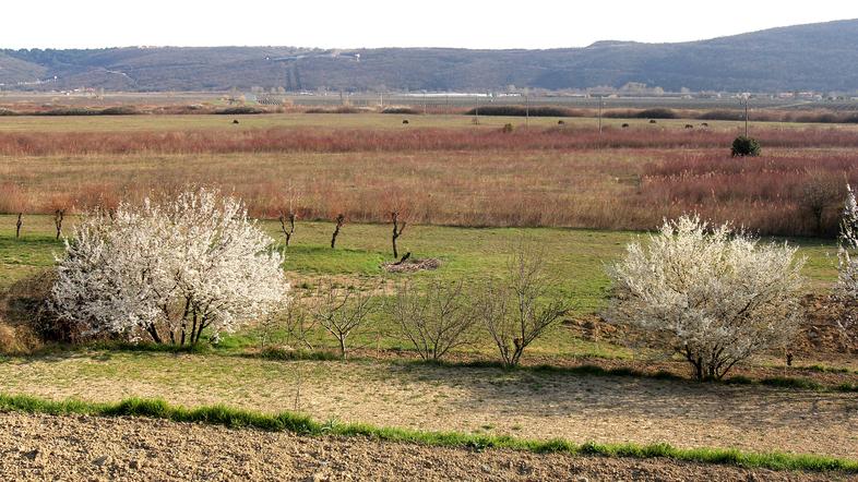 “Projekt golfigrišča obravnava igrišče z 18 igralnimi polji, vadbišče za javnost