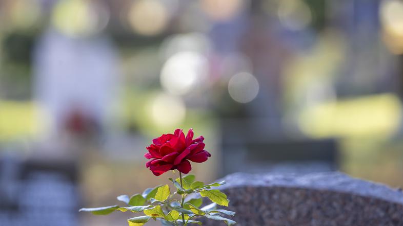 nagrobna cvetje grob svečka