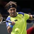 david ferrer