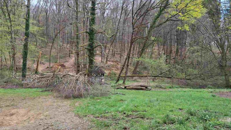 Zavod za gozdove: Panovec