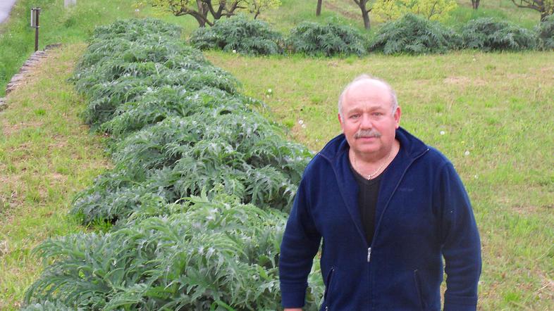 “V Strunjanu imajo skoraj vse hiše artičoke domače sorte, take okrogle,” pravi F