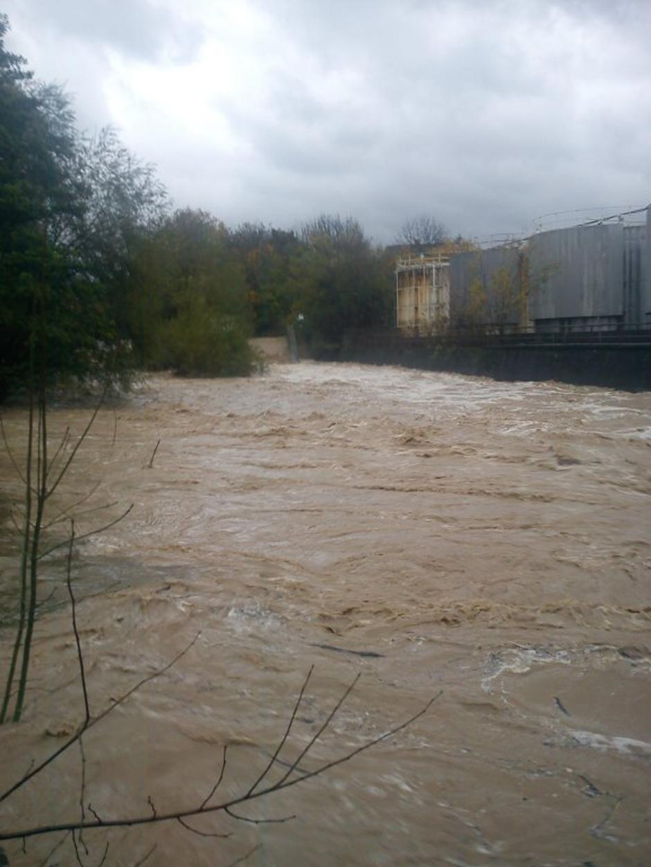 Stanje-Kokra Predoslje | Avtor: Bralka Zelnik Maja