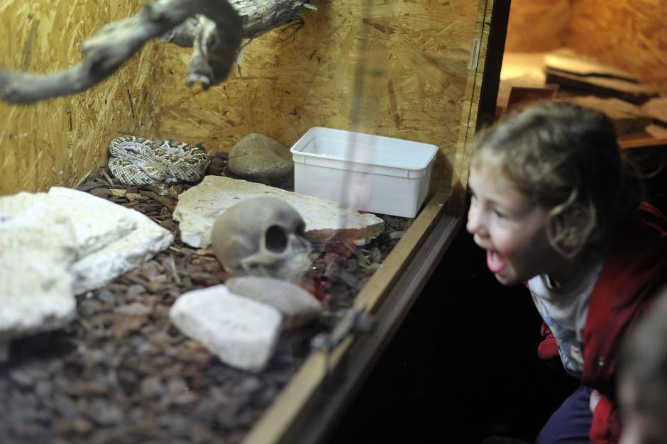 bioexo | Avtor: Anže Petkovšek