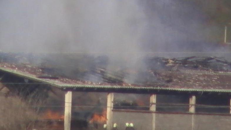 Puranja Farma, Slovenska Bistrica, požar