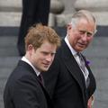princ charles, harry
