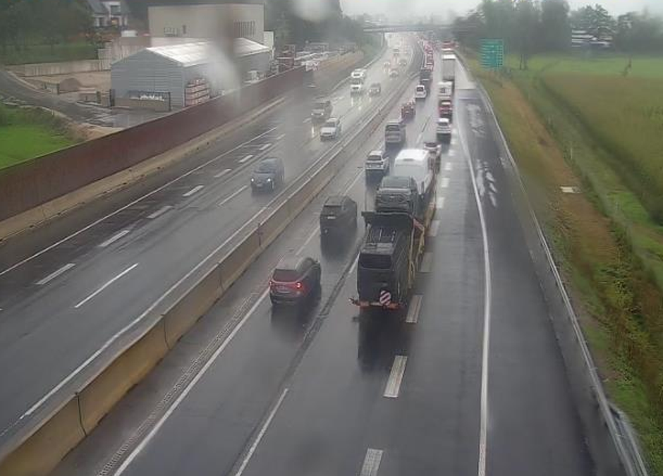 gneča brezovica | Avtor: Dars