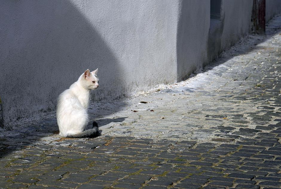 Romunija, potovanje z dacia dusterjam | Avtor: Matija_Janežič