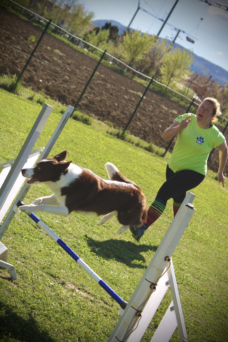 Blazno blatno | Avtor: Blazno blatno