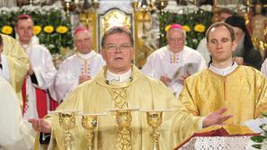 stanislav lipovšek, ustoličenje