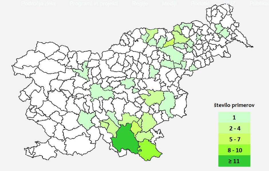 Mišja mrzlica | Avtor: NIJZ