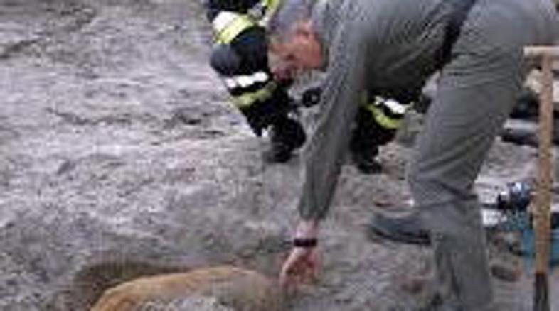 Bomba je tehtala nekaj več kot 100 kilogramov.