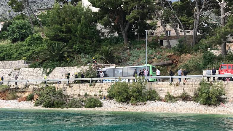 Drevo padlo na avtobus