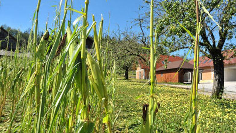 Objavljen je seznam vseh oškodovancev z vsemi odstotki poškodovanosti.
