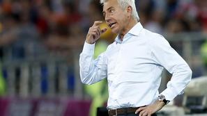 Van Marwijk Nizozemska Danska Harkiv Euro 2012