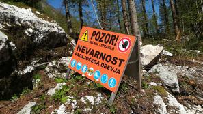 Spravilo lesa ob Bohinjskem jezeru