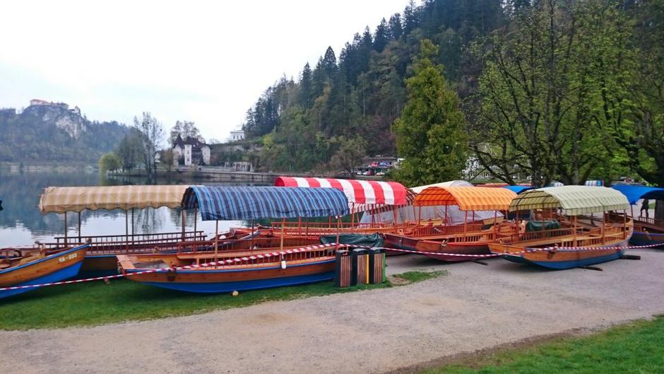 Pletne na Bledu | Avtor: Žurnal24 main