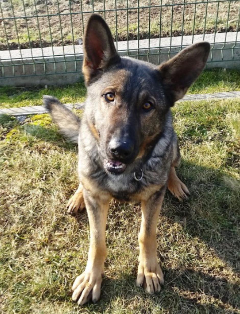 Delta | Avtor: Policija