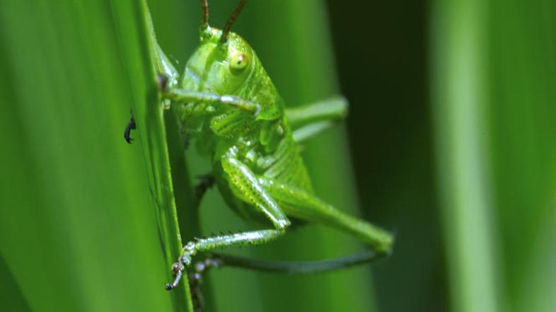 Slika je simbolična. (Foto: Shutterstock)