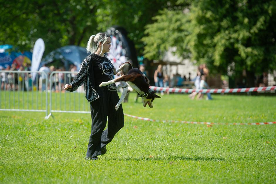 Festival za ljubitelje živali | Avtor: Anže Petkovšek