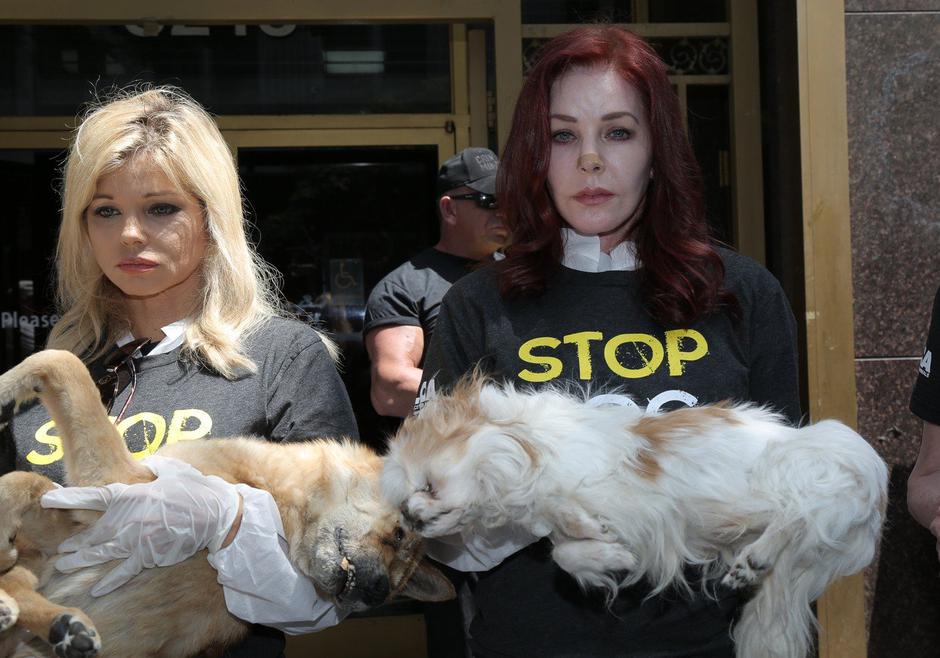 Priscilla Presley | Avtor: Profimedia