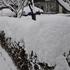 Sneg v Sinji Gorici