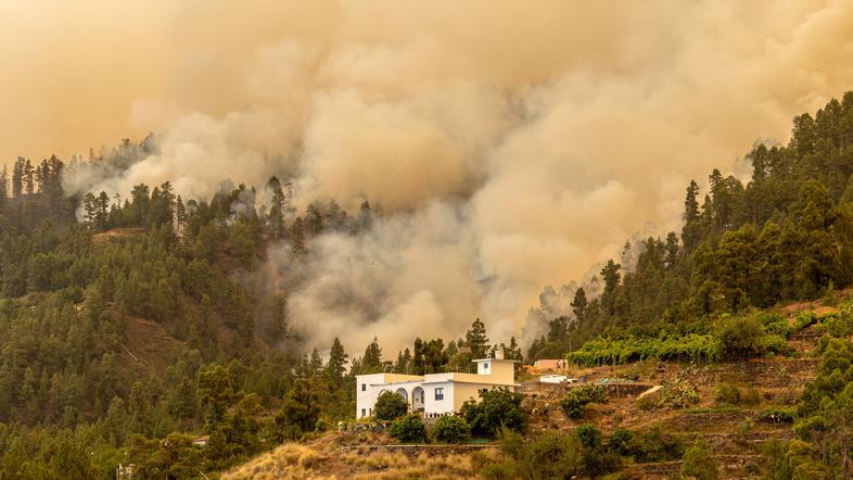 Požar La Palma