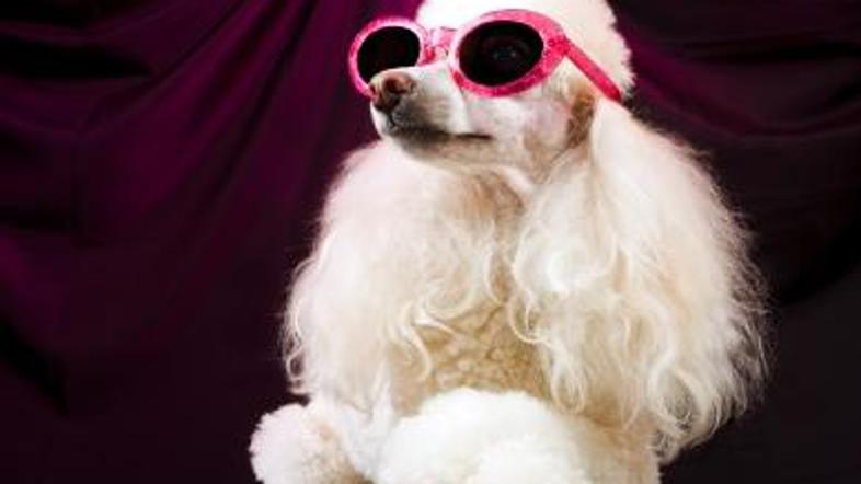 Egocentričen in pomemben? Raje ne.