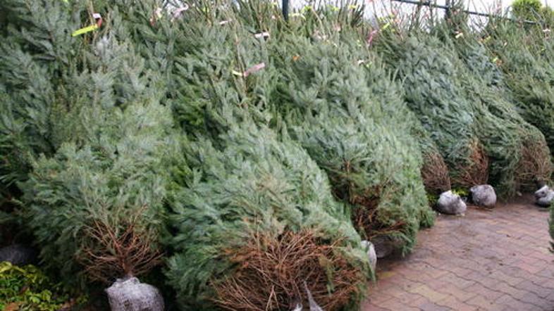 (Foto: shutterstock)