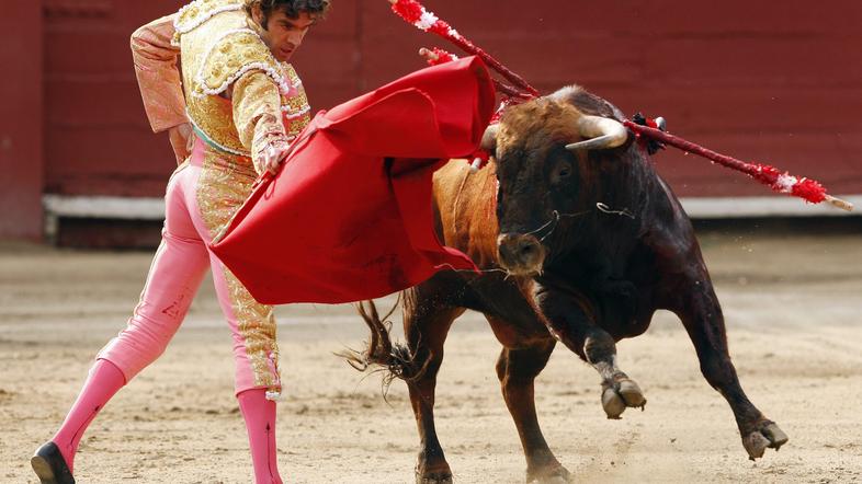 Kljub nevarnosti poklica, se redki matadorji poškodujejo. (Foto: Reuters)