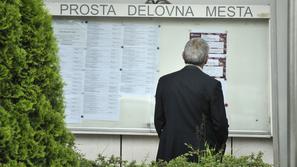 slovenija 11.06.13, brezposelni, iskalci zaposlitve, zavod za zaposlovanje Slove