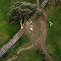 Sycamore Gap