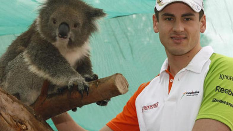 Adrian Sutil je v sredo spoznaval koale. V galeriji poglejte, kaj v Melbournu pr