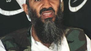 binladen_reu_main225