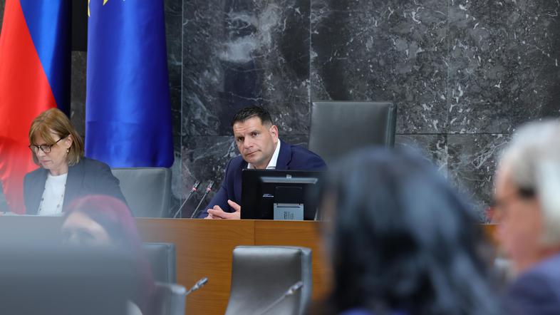 Državni zbor, Zoran Stevanović