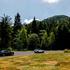 ford puma, ford capri, ford explorer