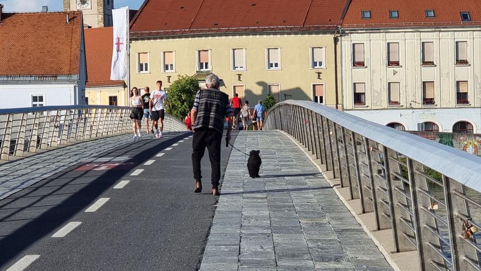 Ptuj | Avtor: Jana Bohar