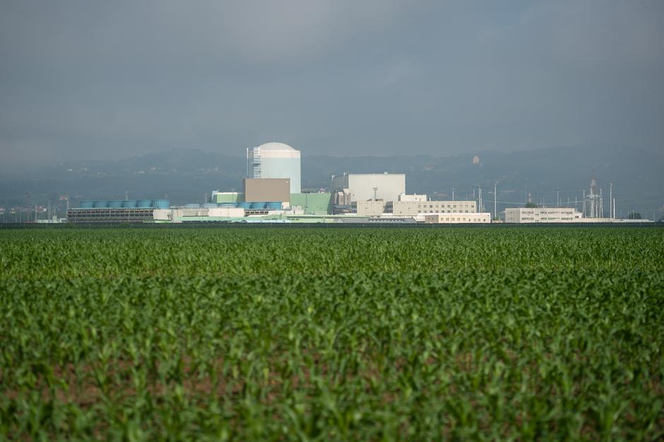 NEK | Avtor: Anže Petkovšek