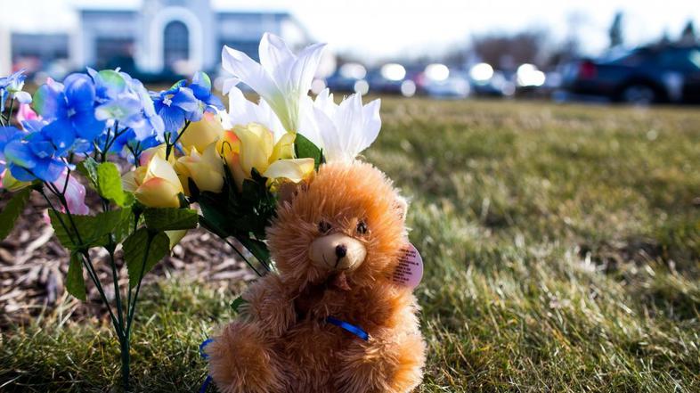 Strelski pohod v Kalamazoo